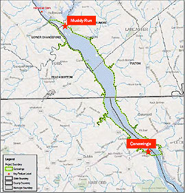 About the Dam